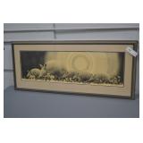 1981 Armadillo Print by Robin Sutherland Signed