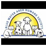 AUCTION PICK UP DATES AND TIMES