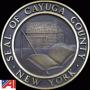 Cayuga County & City of Auburn- Tax Foreclosed Real Estate Auction 