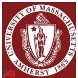 University of Massachusetts - Amherst - Live Auction