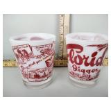 Vintage Florida tumblers