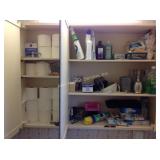 toilet paper, cleaning supplies, bandages, blood