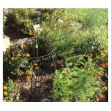 (4) Trellis tomato cages