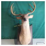 Fake Buck wall mount, electronic