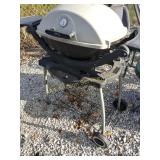 Weber Grill