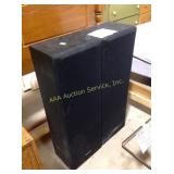 Sony speakers , Chips, dirty