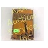 Boy scouts of the Air at Greenwood school