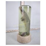 Preserved shark in glass jar
