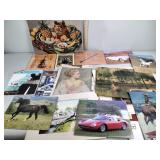 Nevada wildlife viewing guide, Niagara River of