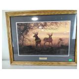 Framed picture the twilight zone by Hayden