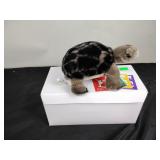 FAO Schwartz turtle, with box, new
