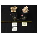 Harmony Kingdom Black Box BANNED (x2)