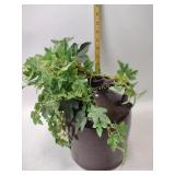 Ceramic jug, some chipping, measures