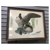 Frame picture of Canadian geese, Branta