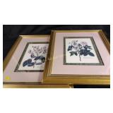 Framed floral pictures