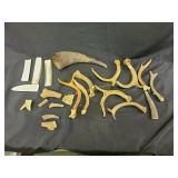 Antlers assortment