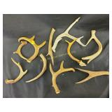 Antlers assortment