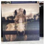 Large horse photograph printed on wood. 34 x 34.