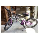 Ozone shock force 20 purple and silver bike,