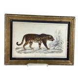 c.1800 Hand Colored Engraving Jaguar A. Fullerton