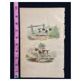 Buffon Hand Colored Engraving - Le Chien Courant e