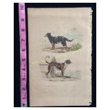 Buffon Hand Colored Engraving of Dogs, Le Chien de