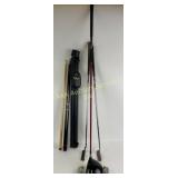 Golf and Pool Cue