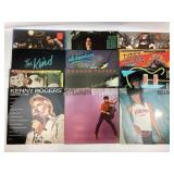 LP Vinyl Records: The Kind, Mud Slide Slim, and Fe