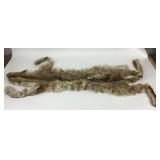 Taxidermy Animal Pelt