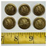 (6) Indian Wars era Waterbury general staff