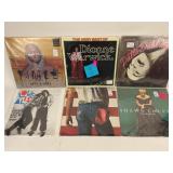 Vinyl records in protective plastic sleeve: