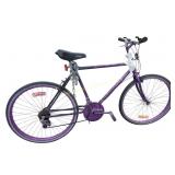 Murray usa bike, paint chipped, some rust on