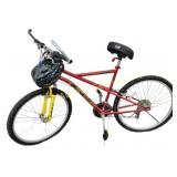 Royce Union 21 Speed Bicycle Abstract 8TD with