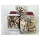 Starfish, shells, seahorses and more