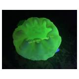 Fenton satin bud vase