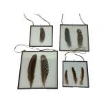 Bird feather and decorative educational glass