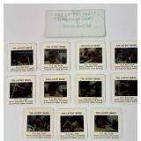 (11) Vintage 1970s/80s risquï¿½ adult Barbara