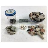 Seashells, Polished Stones, Fossilized Coral, and