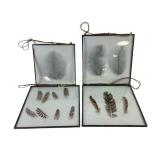4 Framed Hanging Feather Displays, educational