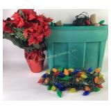 Christmas Decorative Lights and Artificial Poinset