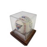 Caring Team Sports Baseball with Signatures in Dis