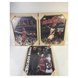 Michael Jordan and Scottie Pippen Chicago Bulls Po