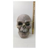 LED Halloween Skull Decoration