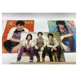 Jonas Brothers Posters 16'x20'