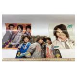 Jonas Brothers Posters 16'x20'