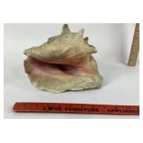 Pink Conch Sea Shell