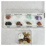 Mineral Specimens with Labels, Marine and Shell Sp