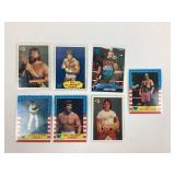 Wrestling Trading Card Collection