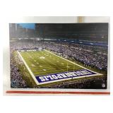 Indianapolis Colts Stadium Photograph