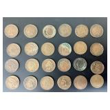 Indian Head Pennies, 19th-20th Century